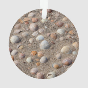 Muscheln am Strand Ornament
