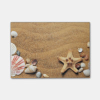 Muscheln am Strand