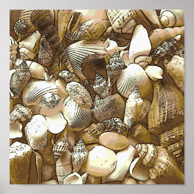 Muscheln am Strand Poster (Vorne)