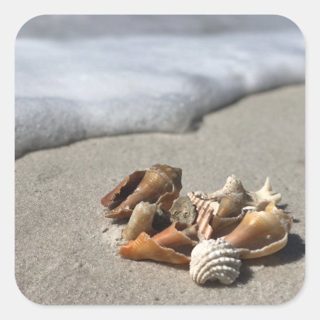 Muscheln am Strand Quadratischer Aufkleber (Vorderseite)