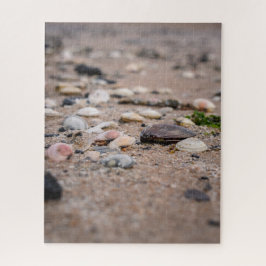 Muscheln am Strand Rätsel