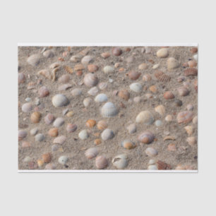 Muscheln am Strand Seidenpapier
