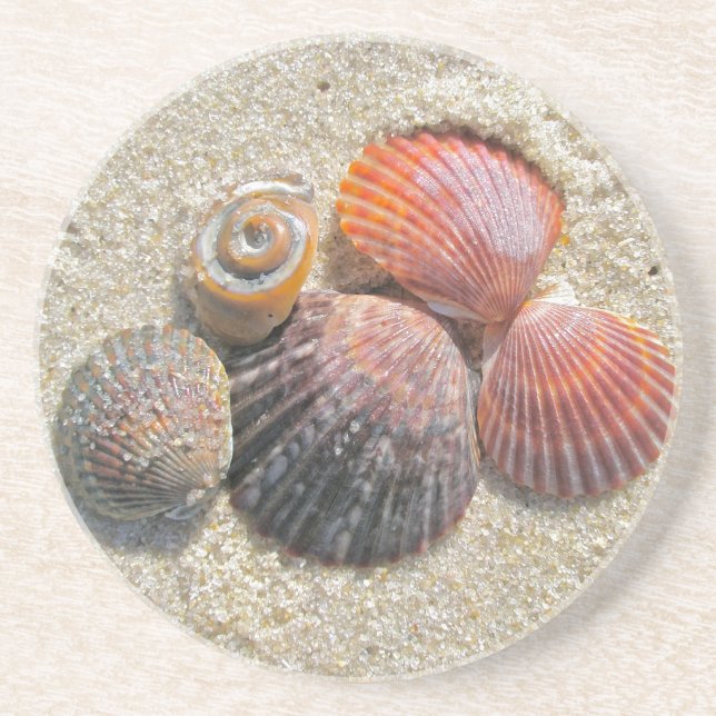 Muscheln am Untersetzer (Vorne)