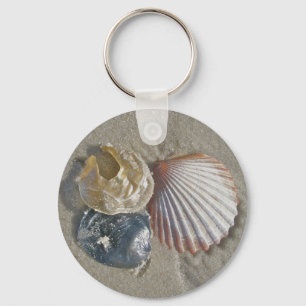 Muscheln an den Strandkoordinierungselementen Schlüsselanhänger
