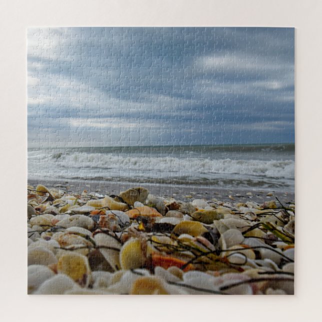 Muscheln an der Küste - 20x20 - 676 Stk. (Vertikal)
