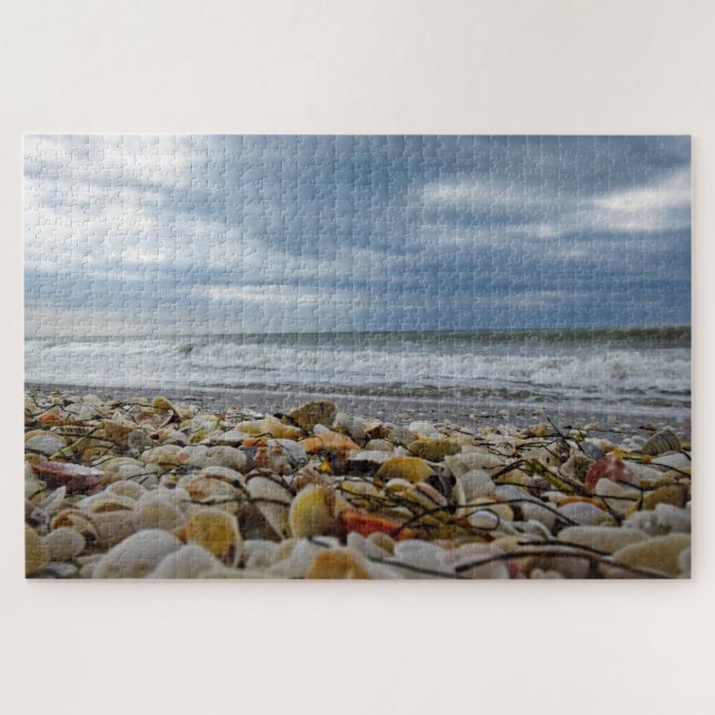 Muscheln an der Küste - 20x30 - 1014 Stk. (Horizontal)
