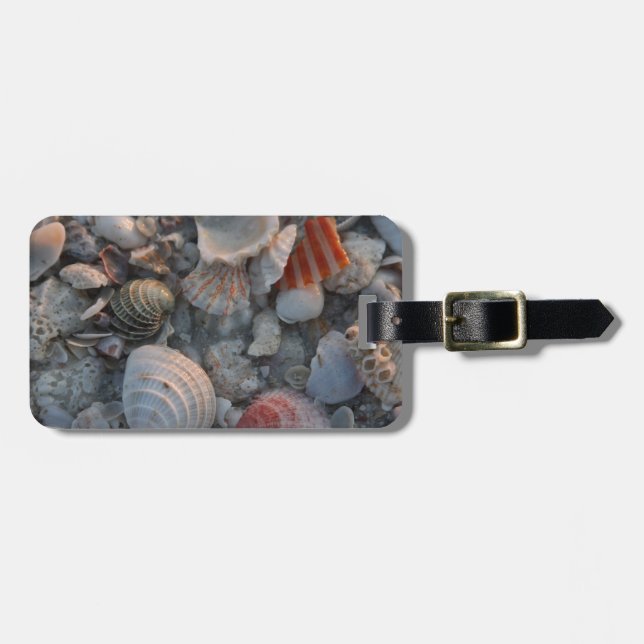 Muscheln auf dem Sand Gepäckanhänger (Vorderseite horizontal)