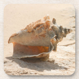Muscheln auf dem Strand Getränkeuntersetzer