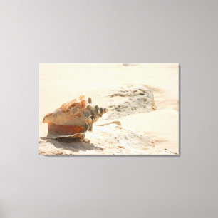 Muscheln auf dem Strand Leinwanddruck