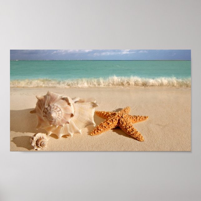 Muscheln auf dem Strandplakat Poster (Vorne)