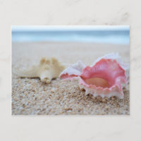 Muscheln auf der Strandpostkarte