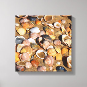 Muscheln auf einem Sandy-Strand Andalusien, Leinwanddruck