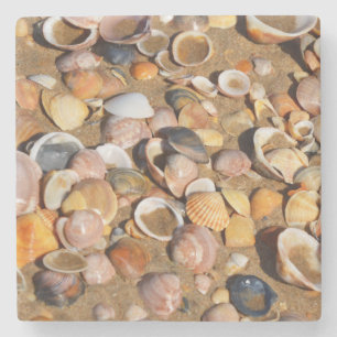 Muscheln auf einem Sandy-Strand   Andalusien, Steinuntersetzer