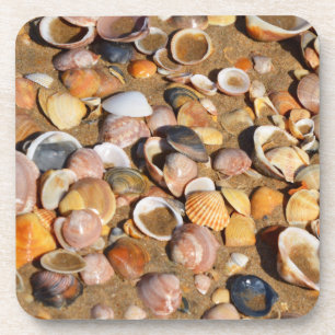 Muscheln auf einem Sandy-Strand Andalusien, Untersetzer