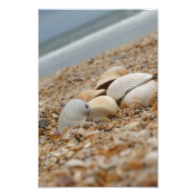 Muscheln auf Strandfoto Imaginative Imagery