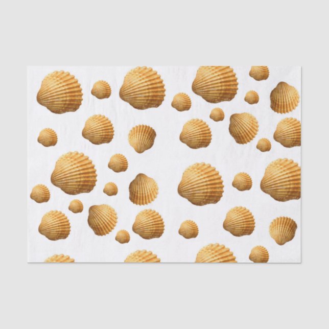 Muscheln aus dekorativem Gewebe Seidenpapier (Vorderseite)