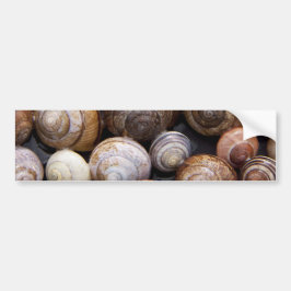 Muscheln Autoaufkleber