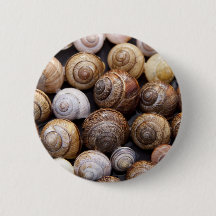 Muscheln