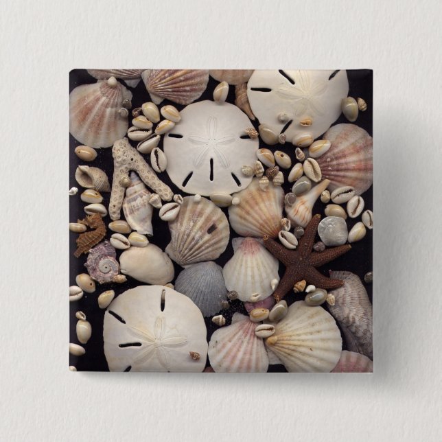 Muscheln Button (Vorderseite)