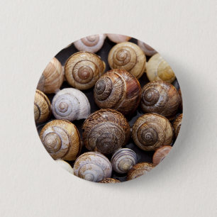 Muscheln Button