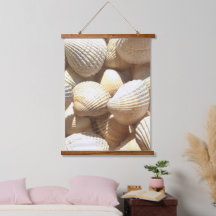 Muscheln Collection Beach Life Fotografie
