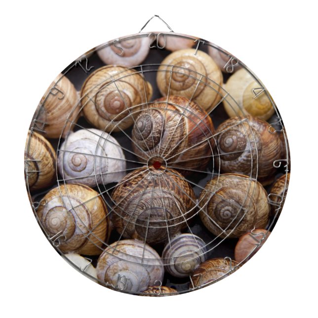 Muscheln Dartscheibe (vorne)