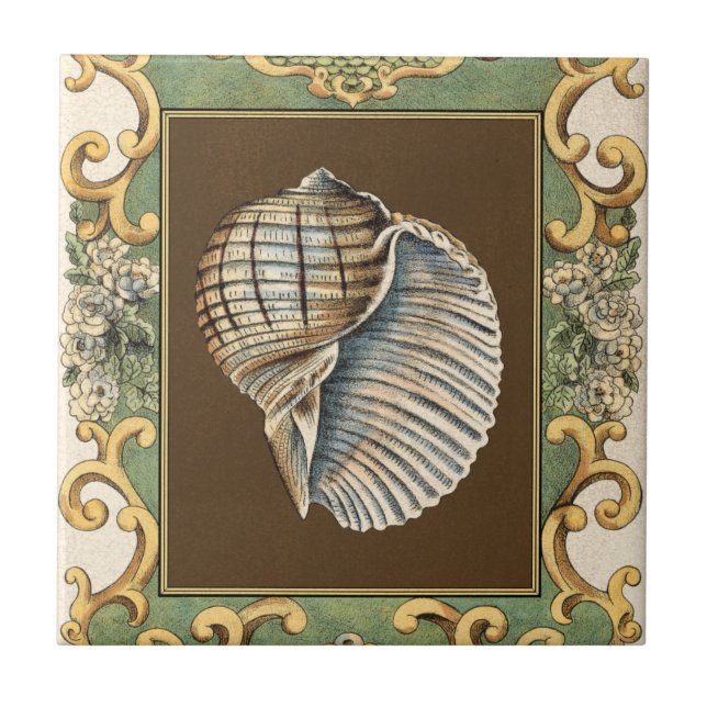 Muscheln der kleinen Meerjungfrau Fliese (Vorderseite)