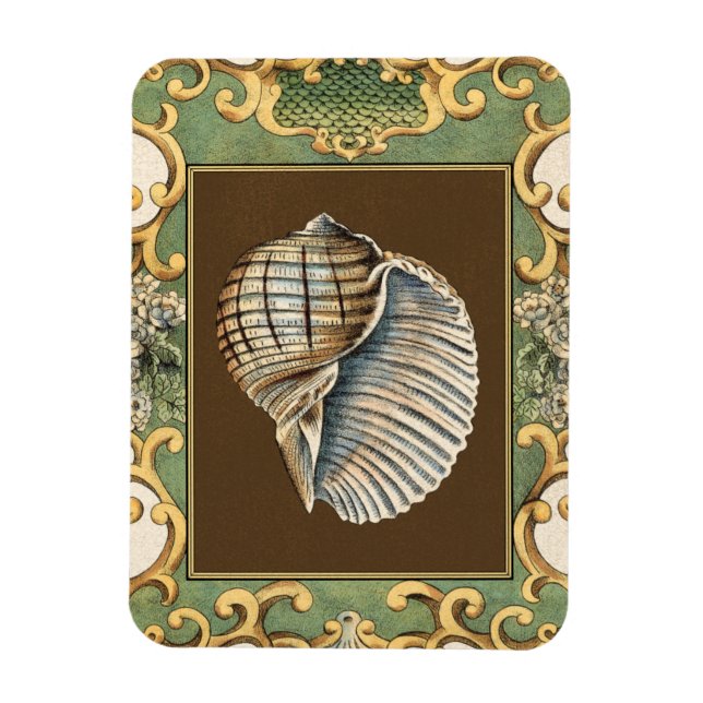 Muscheln der kleinen Meerjungfrau Magnet (Vertikal)
