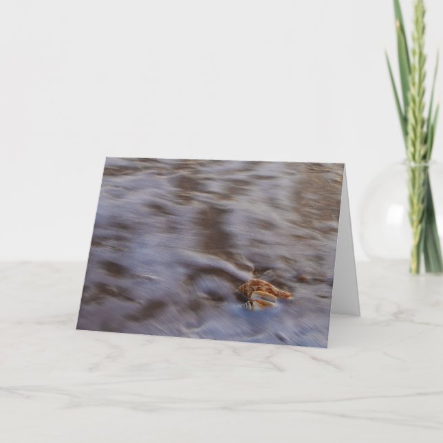 Muscheln der Surf-Grußkarte Karte (Vorderseite)
