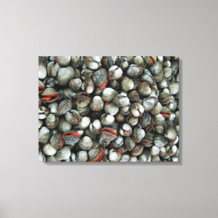 Muscheln des Blutcockle Leinwanddruck