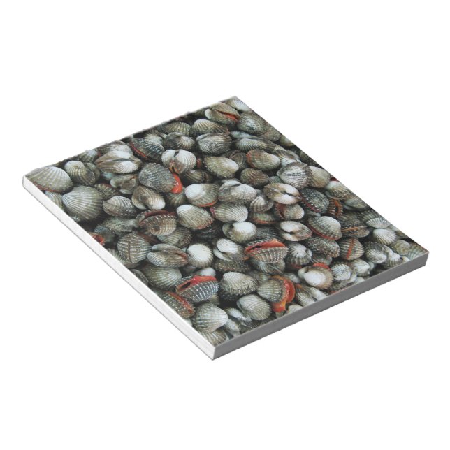 Muscheln des Blutcockle Notizblock (angewinkelt)