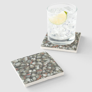 Muscheln des Blutcockle Steinuntersetzer