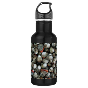 Muscheln des Blutcockle Trinkflasche