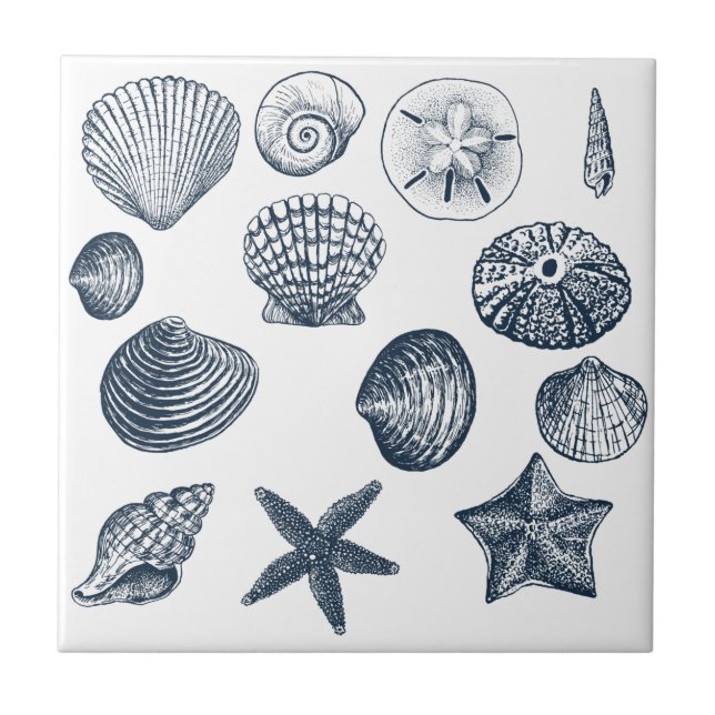 Muscheln des nautischen blauen Ozeans Fliese (Vorderseite)