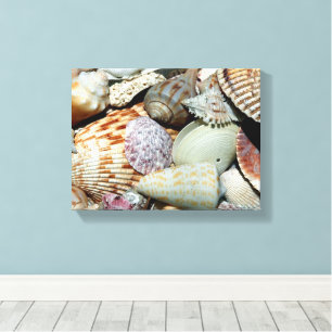 Muscheln, die vom Strand Sanibel Island Fl gesamme Leinwanddruck