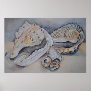 Muscheln drucken poster