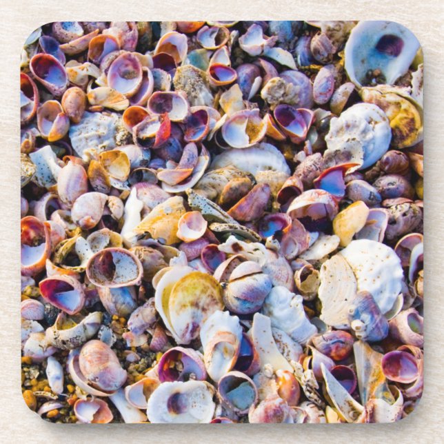 Muscheln durch das Seeufer Untersetzer (Vorderseite)