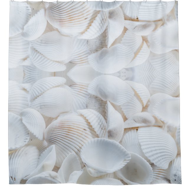Muscheln Duschvorhang (Vorderseite)