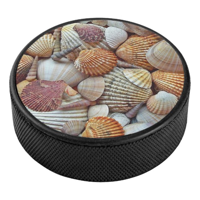 Muscheln Eishockey Puck (3/4)
