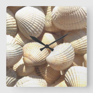 Muscheln, exotische Uhr für den Sommerstrand