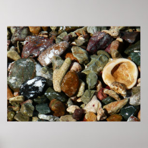 Muscheln, Felsen und Korallen Naturfotografie Poster