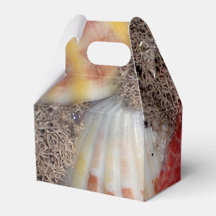 Muscheln Fotografie Geschenkschachtel