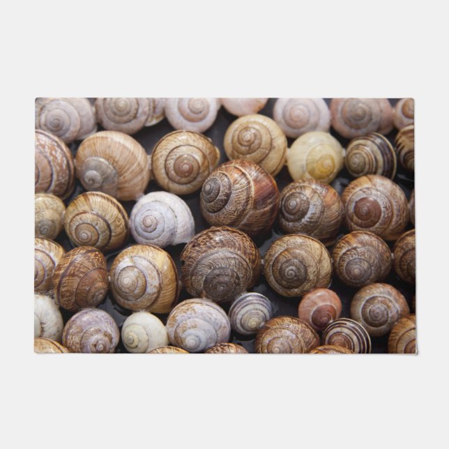 Muscheln Fußmatte (Vorderseite)