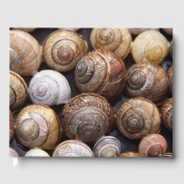 Muscheln Gästebuch
