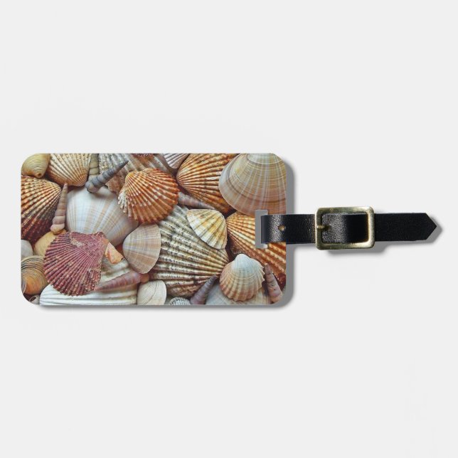 Muscheln Gepäckanhänger (Vorderseite horizontal)