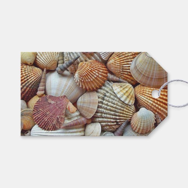 Muscheln Geschenkanhänger (Vorderseite (Horizontal))