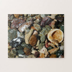 Muscheln-, Gestein- und Korallenfotografie