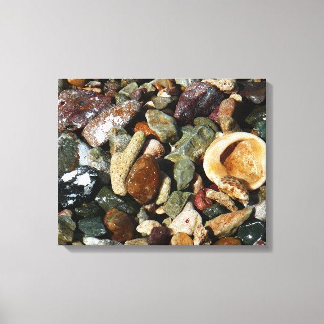 Muscheln-, Gestein- und Korallenfotografie Leinwanddruck (Vorderseite)