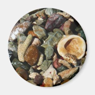 Muscheln-, Gestein- und Korallenfotografie Magnet