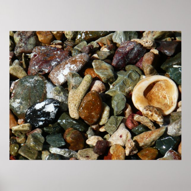 Muscheln-, Gestein- und Korallenfotografie Poster (Vorne)